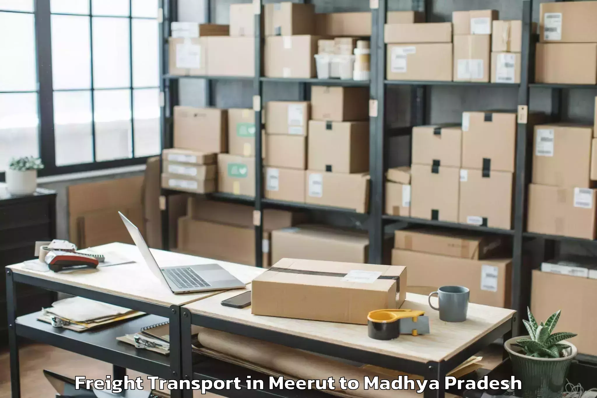 Top Meerut to Dhamnod Freight Transport Available